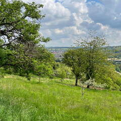 22-04-25 14-25-08 0645